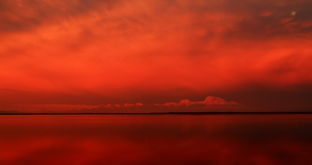 _MG_2696.JPG