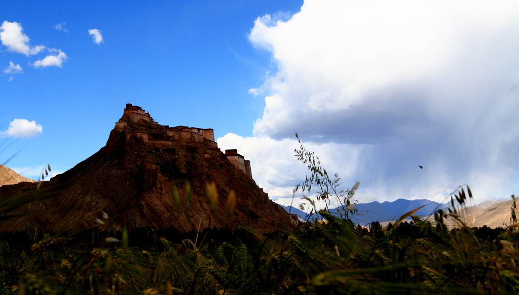 _MG_4556.JPG