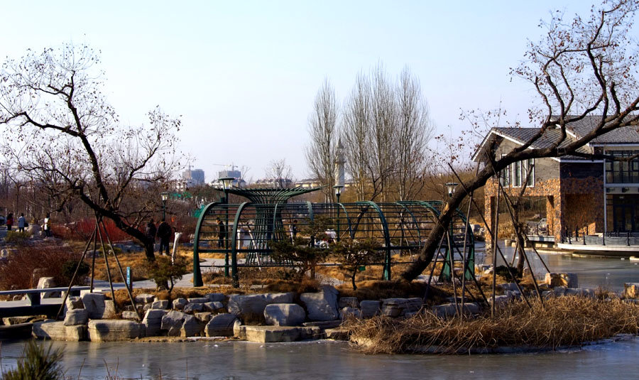 DSCF3607.JPG