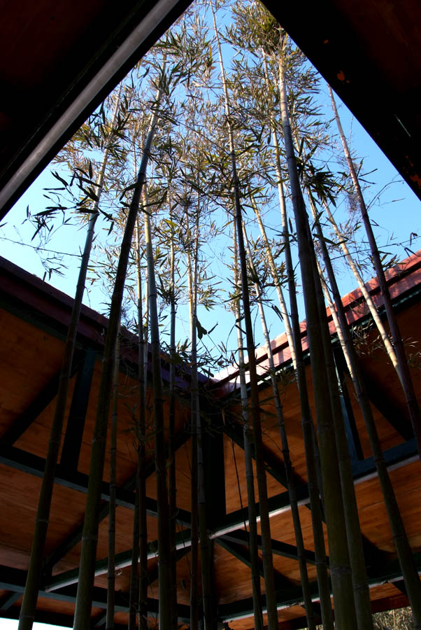 DSCF3637.JPG