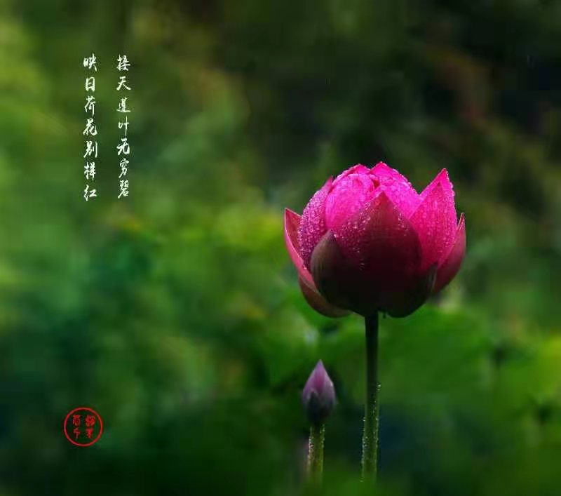 微信图片_20210115190739.jpg