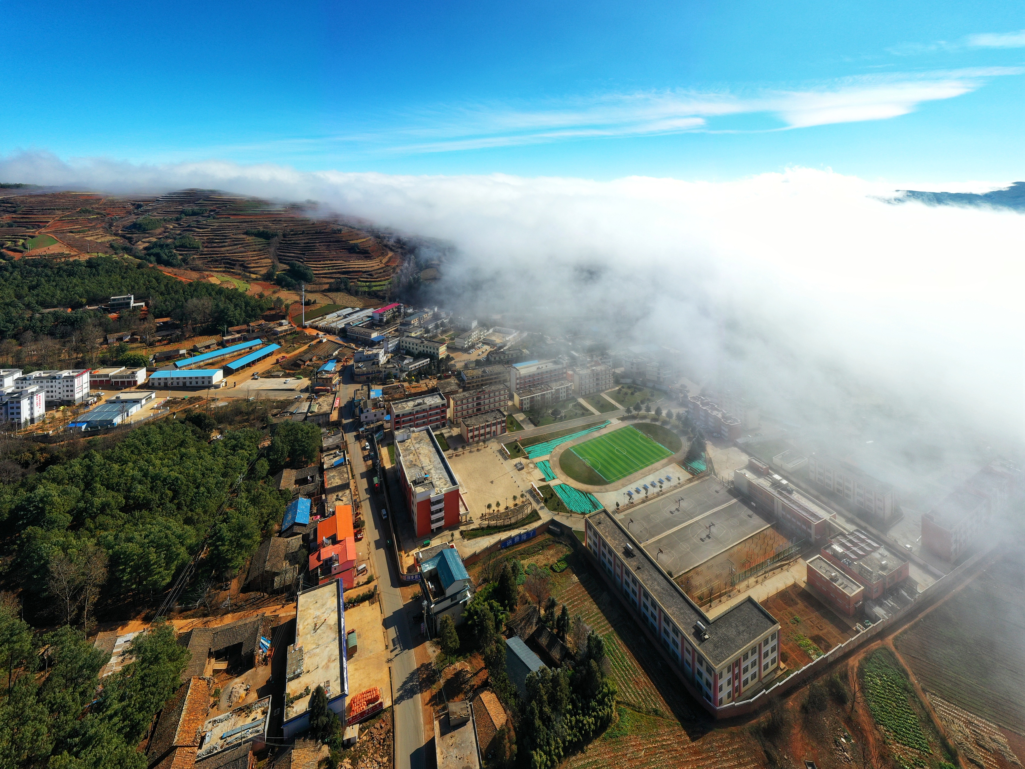 DJI_0261-01.jpeg
