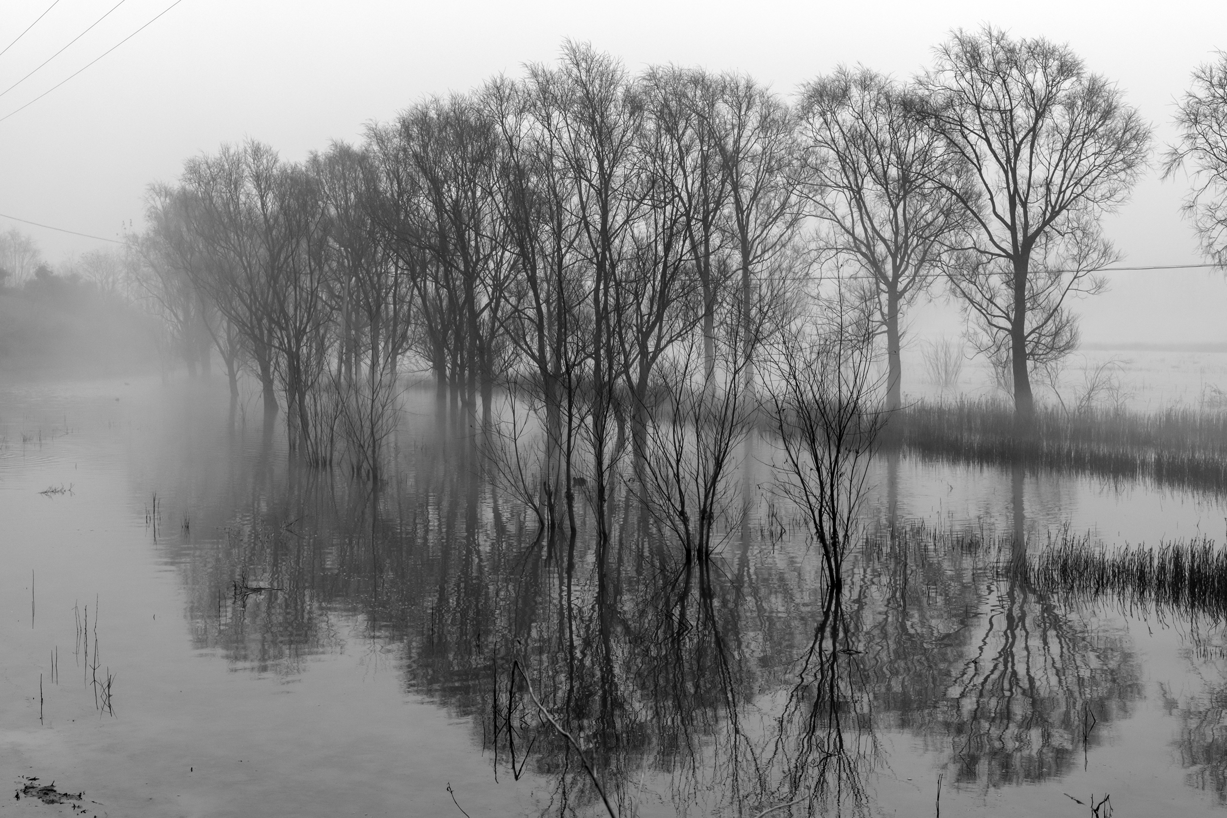 DSC_0069.jpg