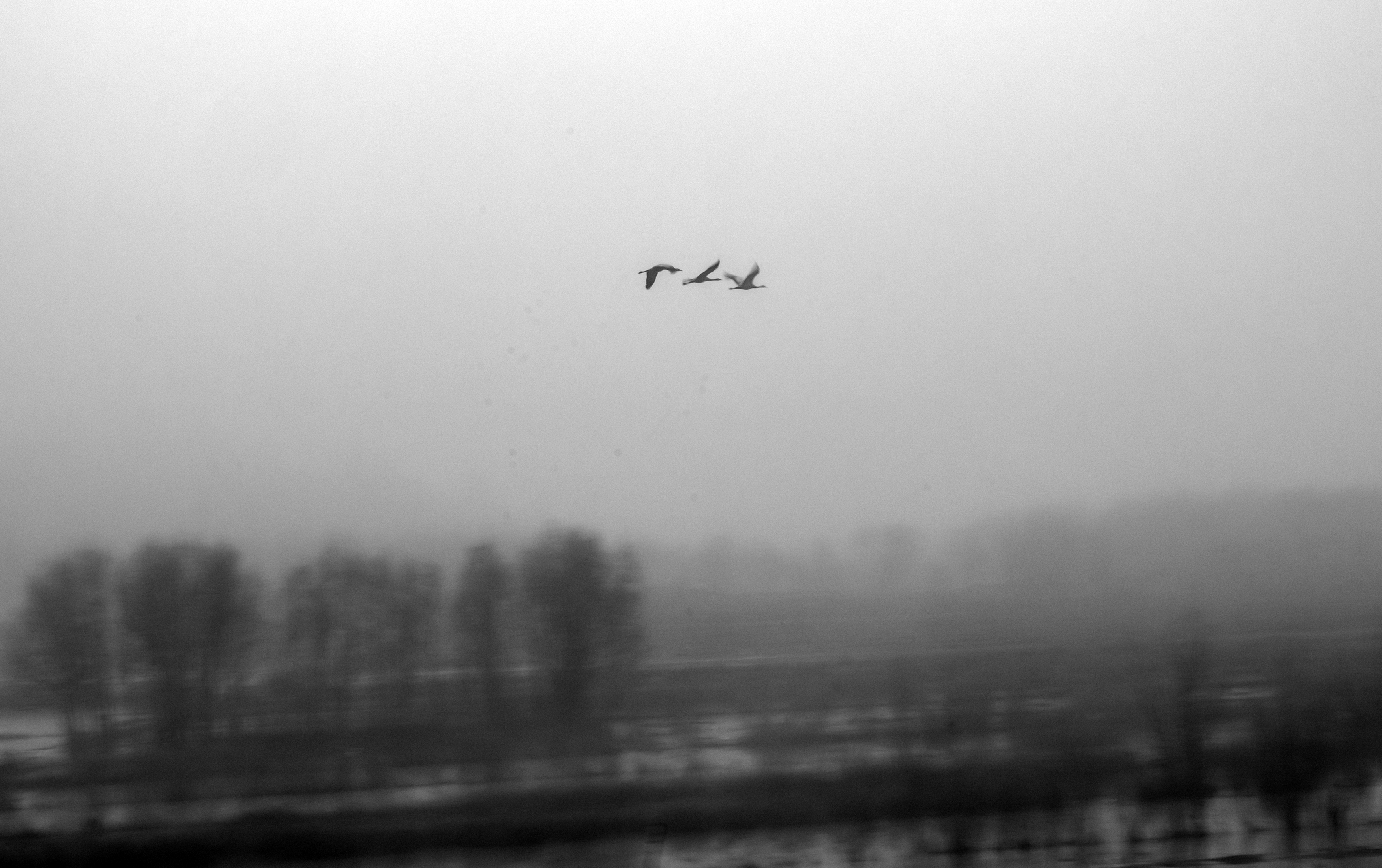 DSC_0819.jpg