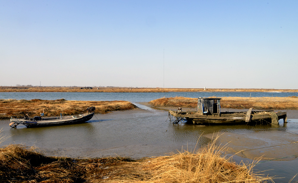 _DSC0031.JPG