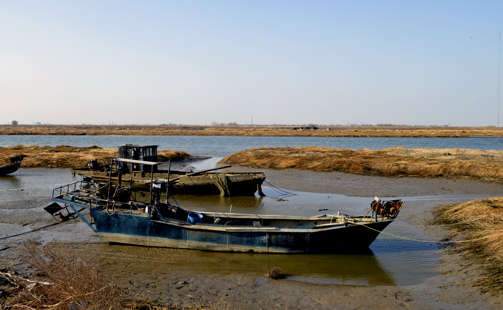 _DSC0035.JPG