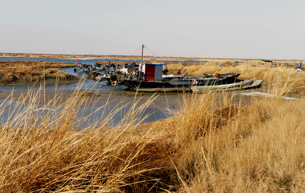 _DSC0054.JPG