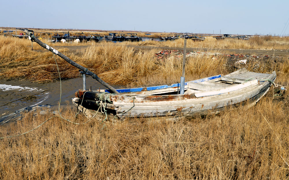 _DSC0056.JPG