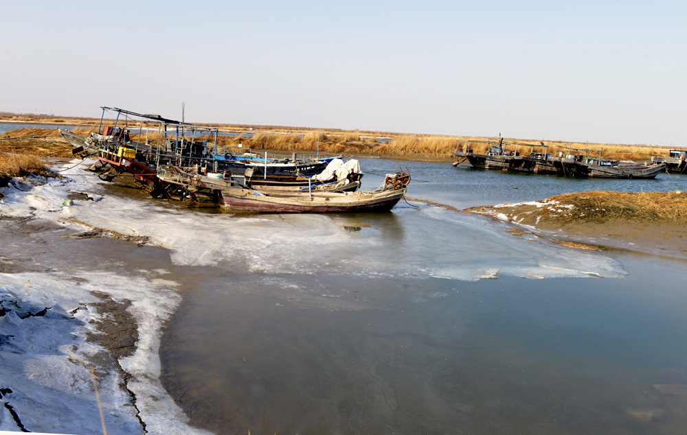 _DSC0064.JPG