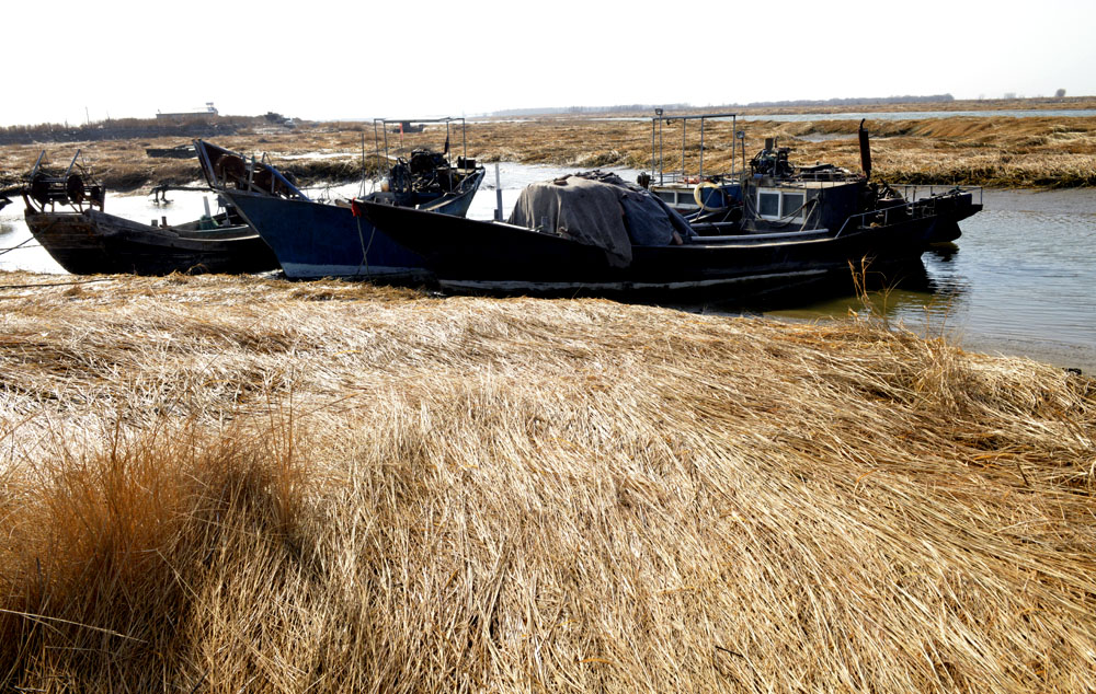 _DSC0075.JPG