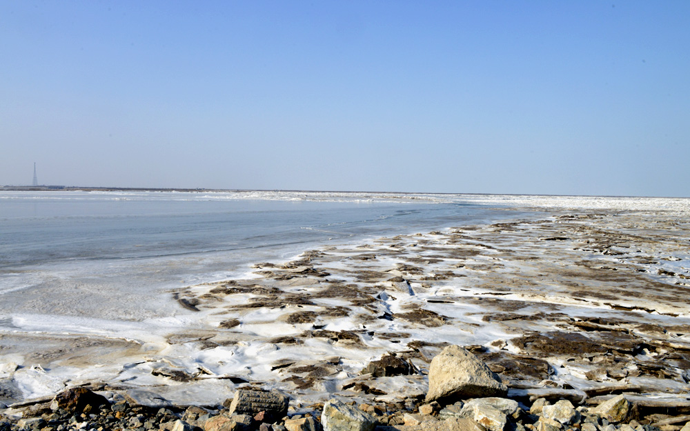 _DSC0194.JPG
