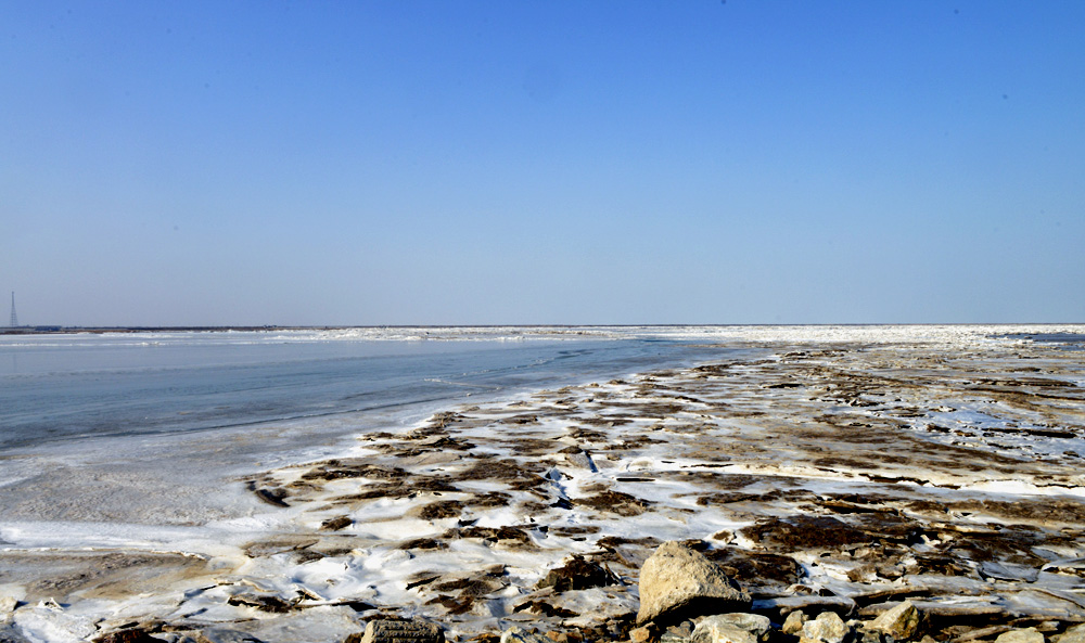 _DSC0198.JPG