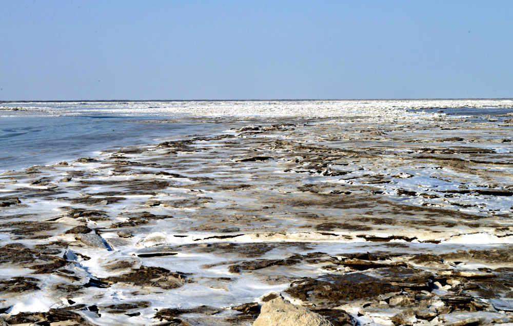 _DSC0202.JPG
