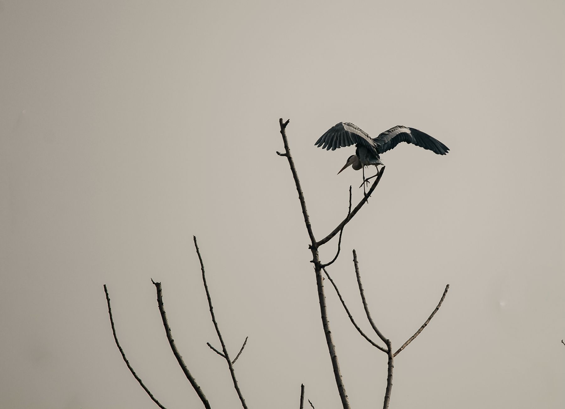 0H1A0813_副本.jpg
