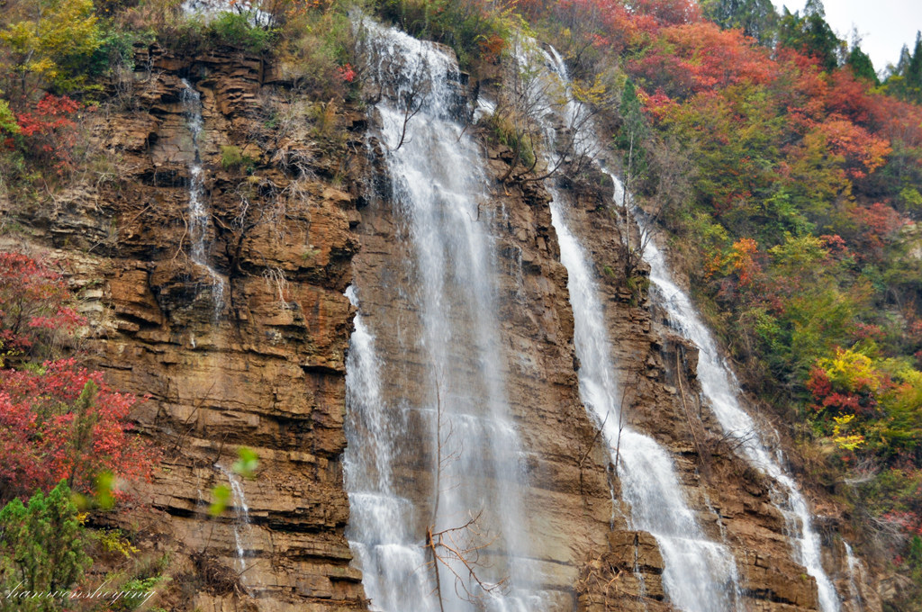 DSC_0061.JPG