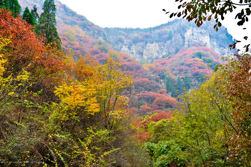 DSC_0132.JPG