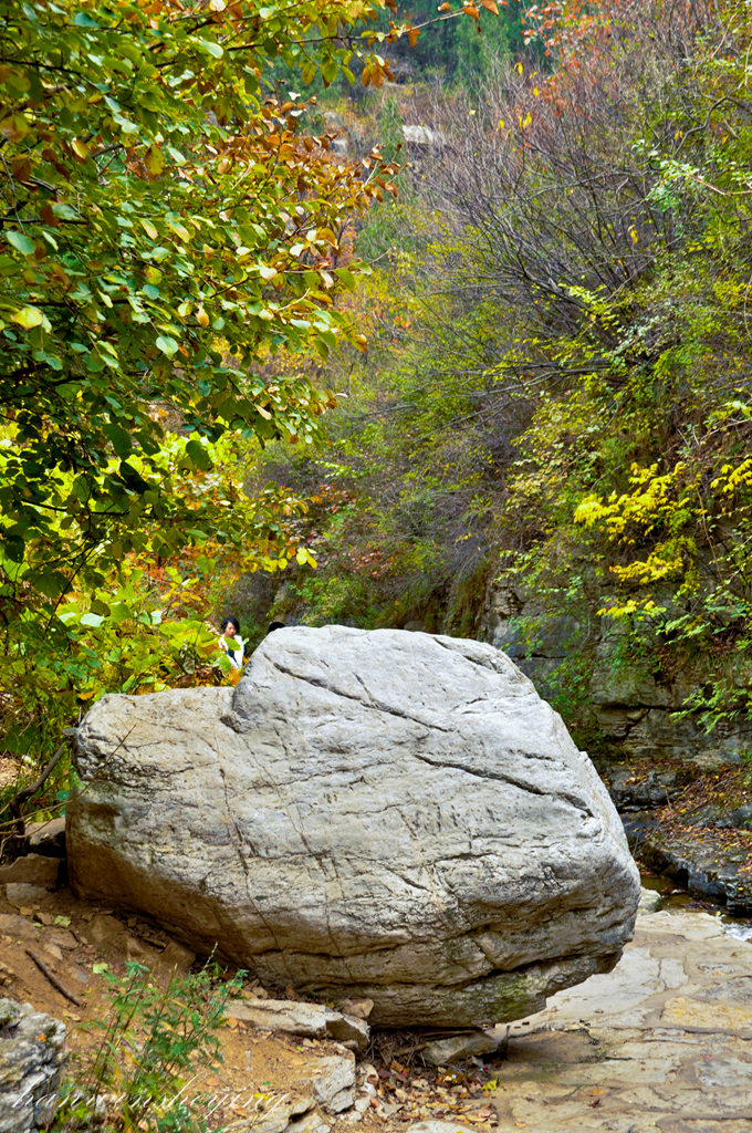 DSC_0157.JPG