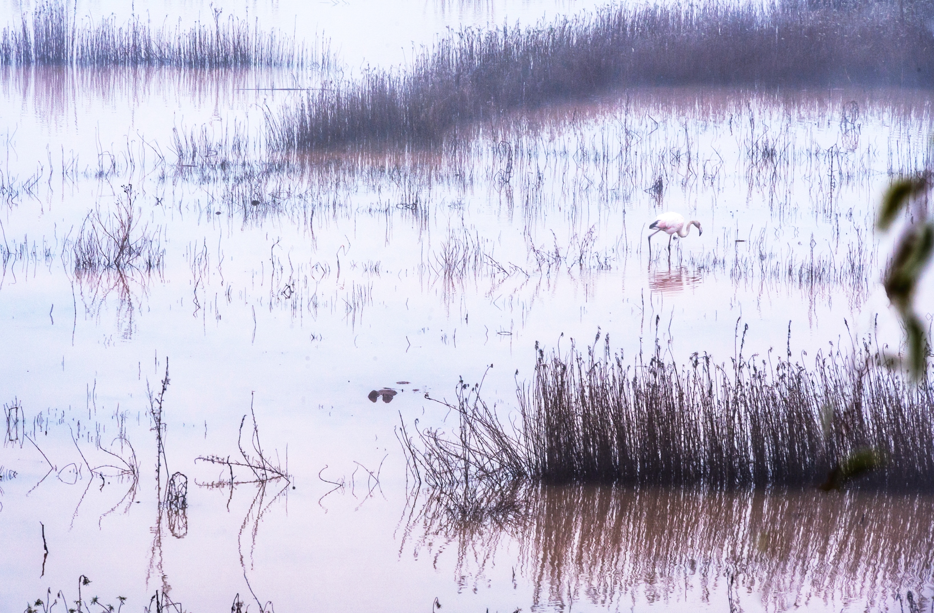 DSC_0838-01.jpeg