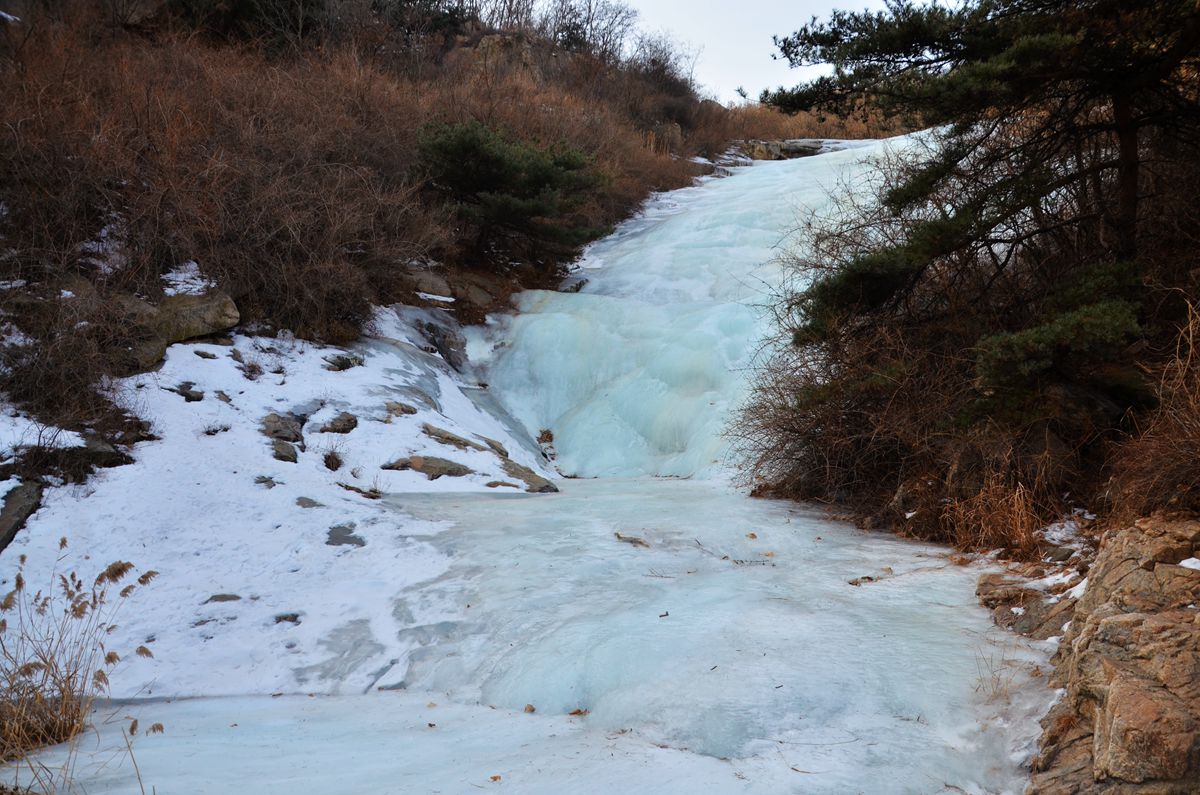 DSC_0132_副本.jpg