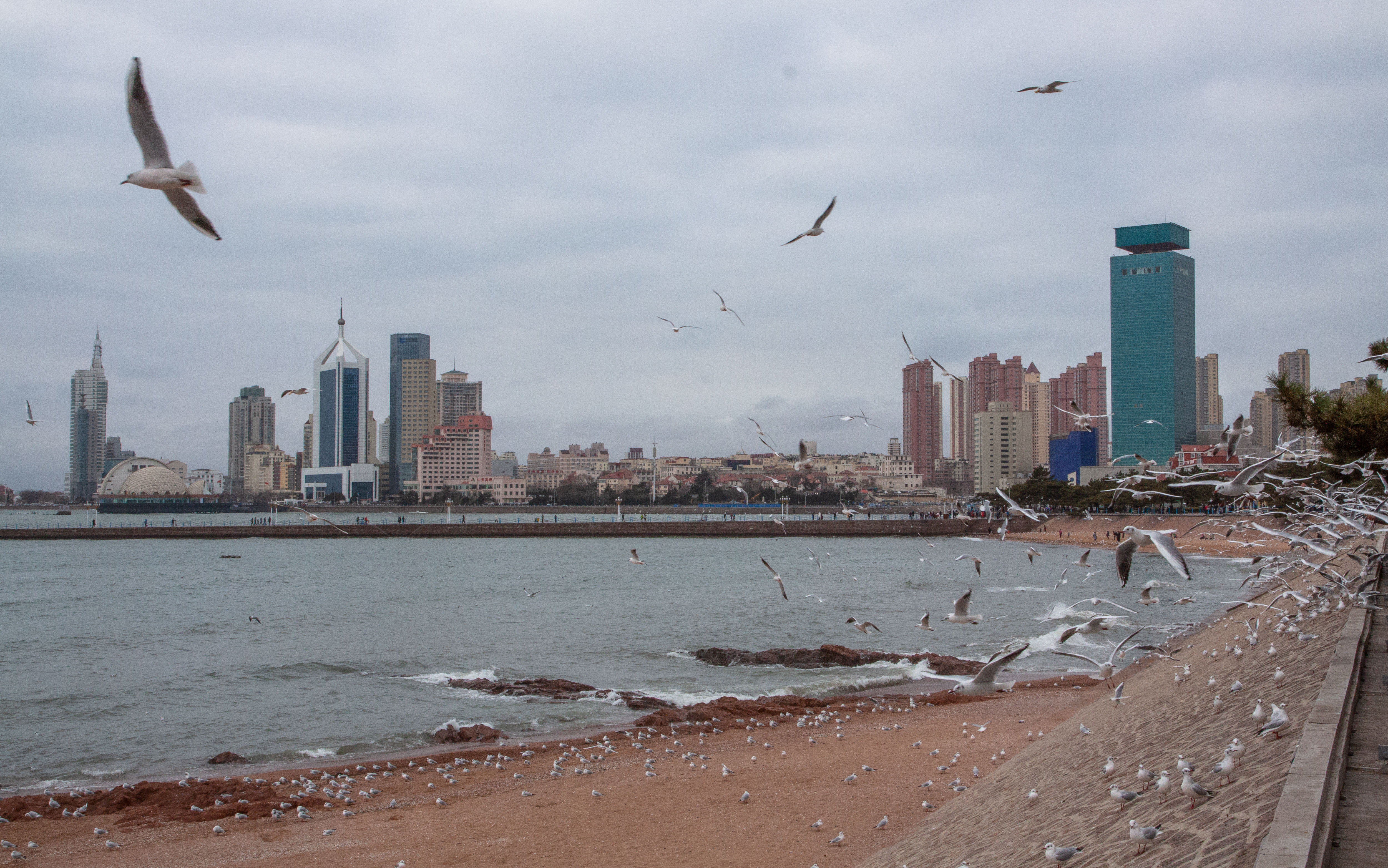 _MG_0072.jpg