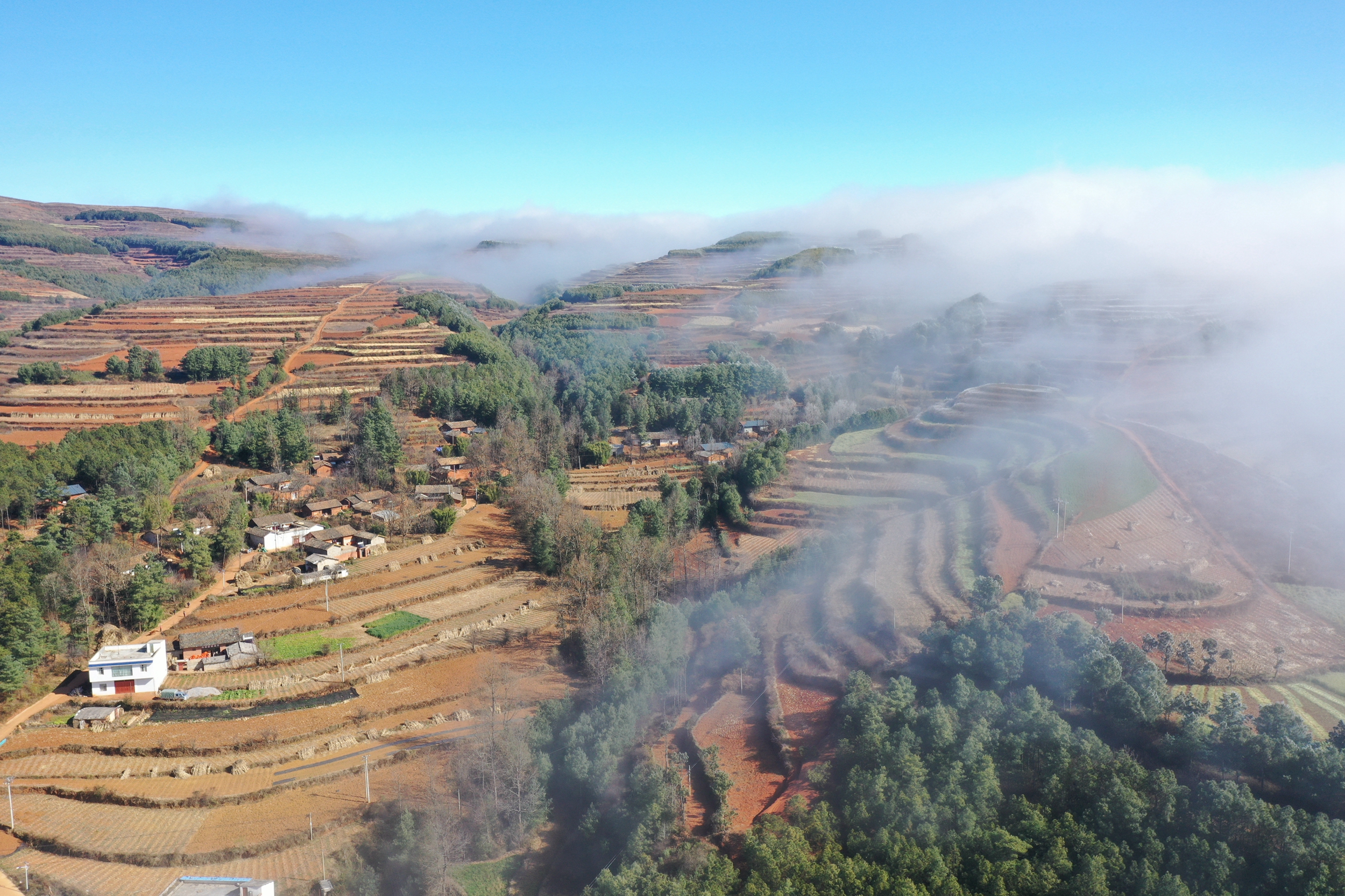 DJI_0254.JPG