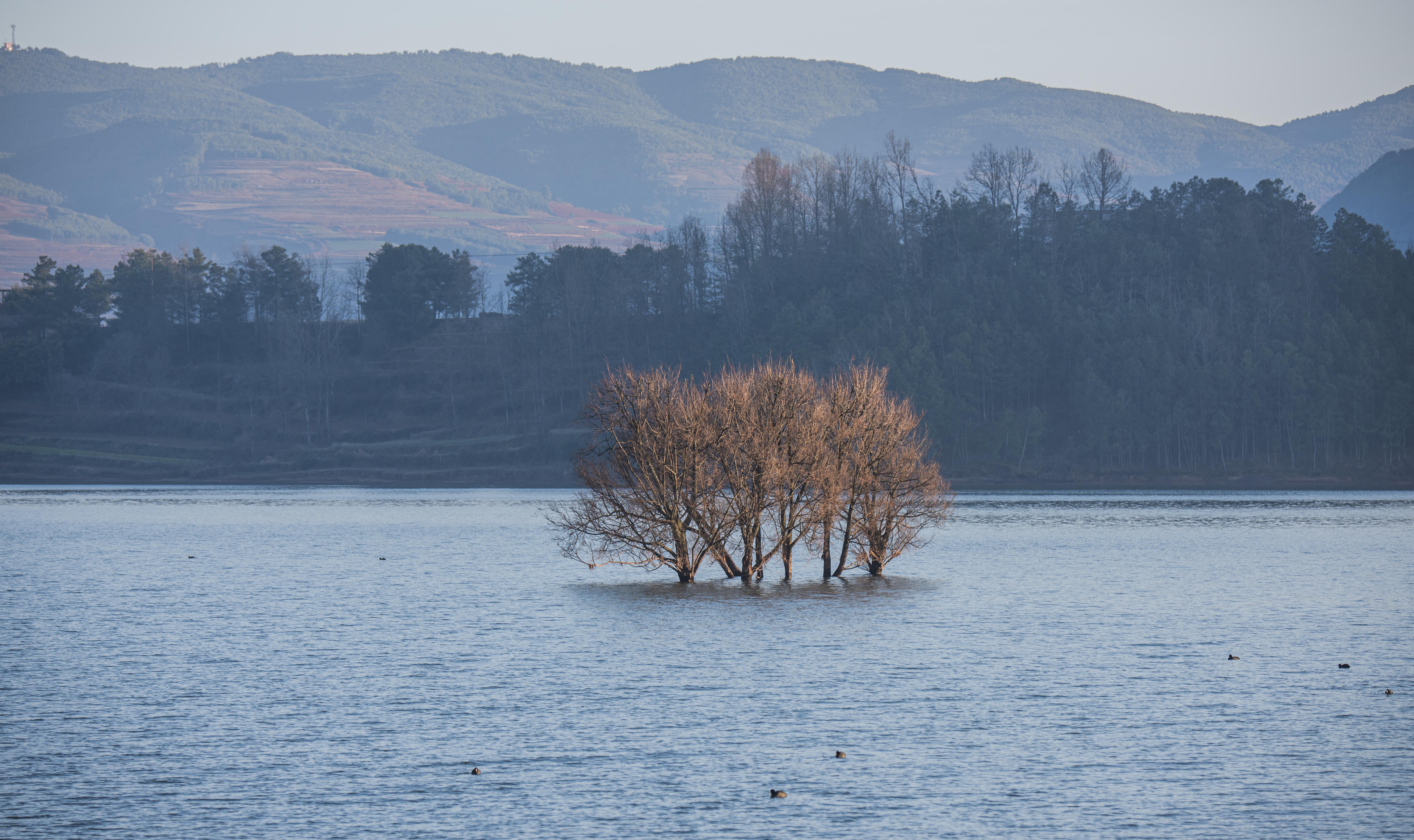 11DSC_4773.jpg