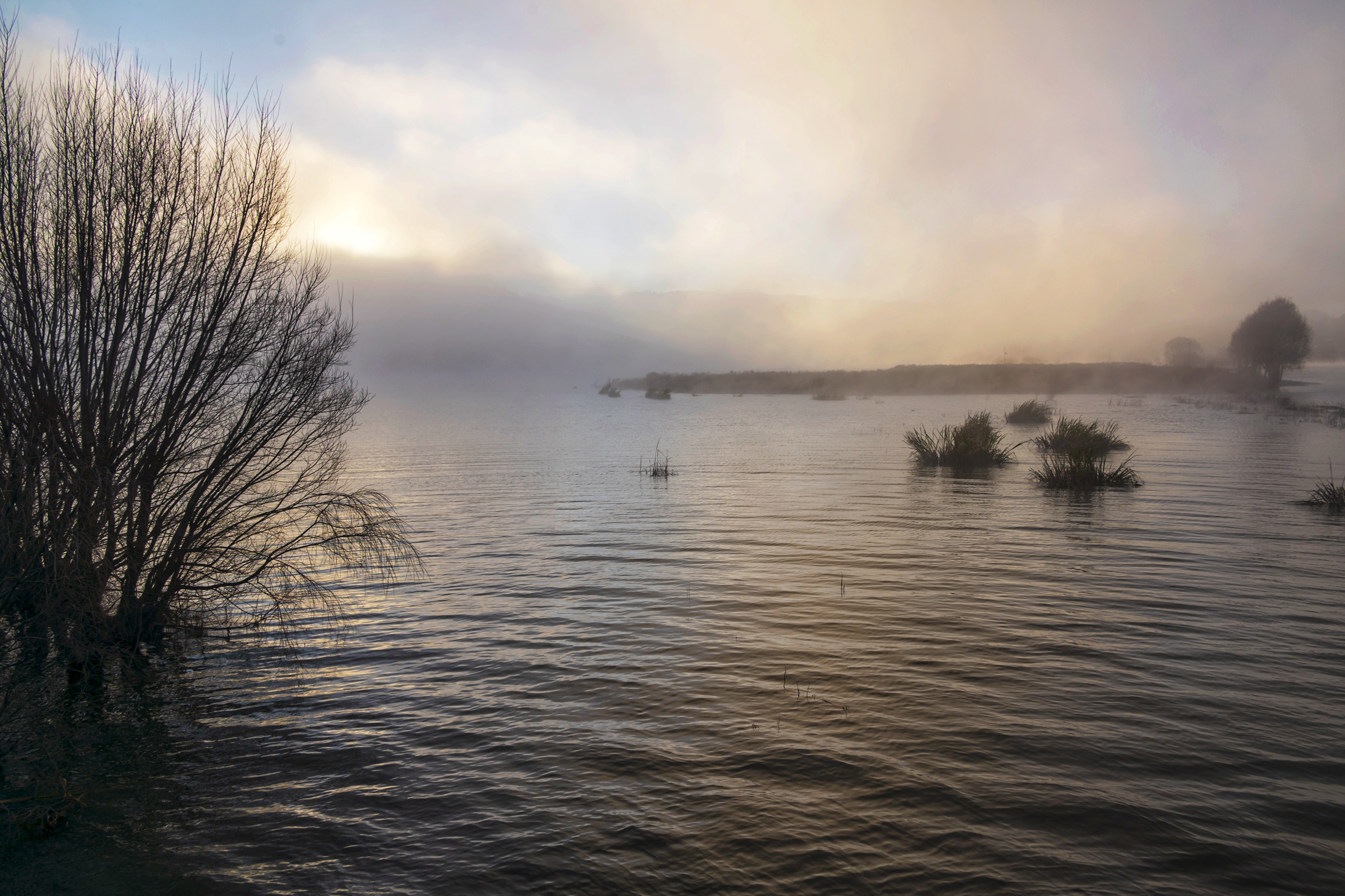 DSC_0798-01.jpeg