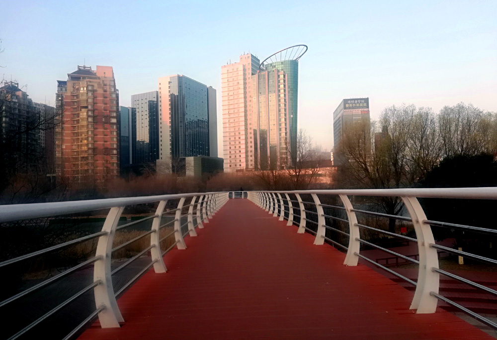 IMG_20201226_074509.jpg