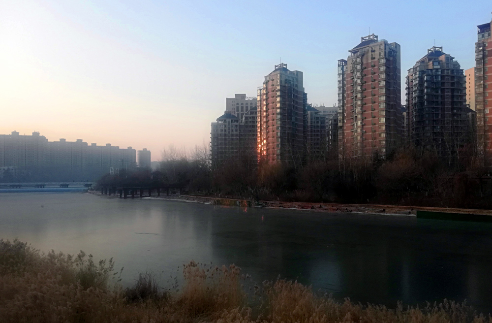 IMG_20201226_074610.jpg