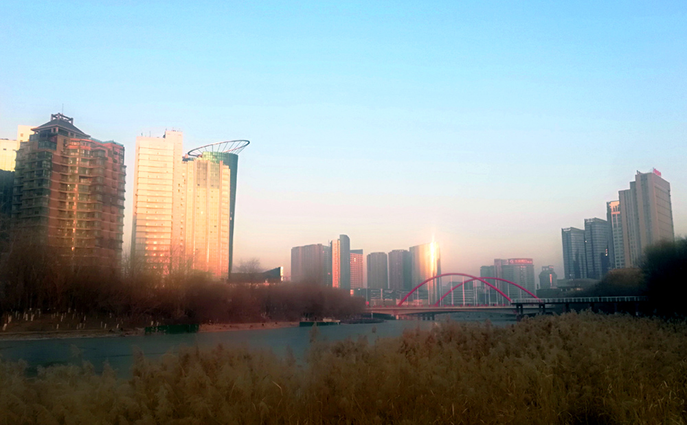 IMG_20201226_075216.jpg