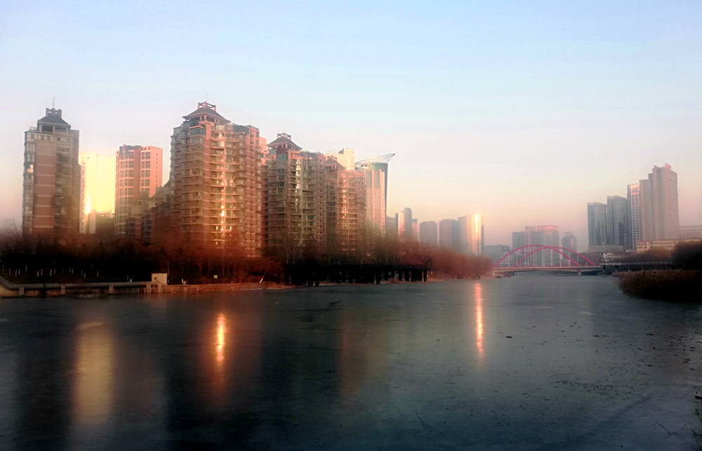 IMG_20201226_075449.jpg