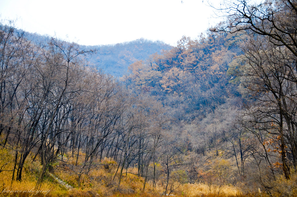 DSC_0040.JPG