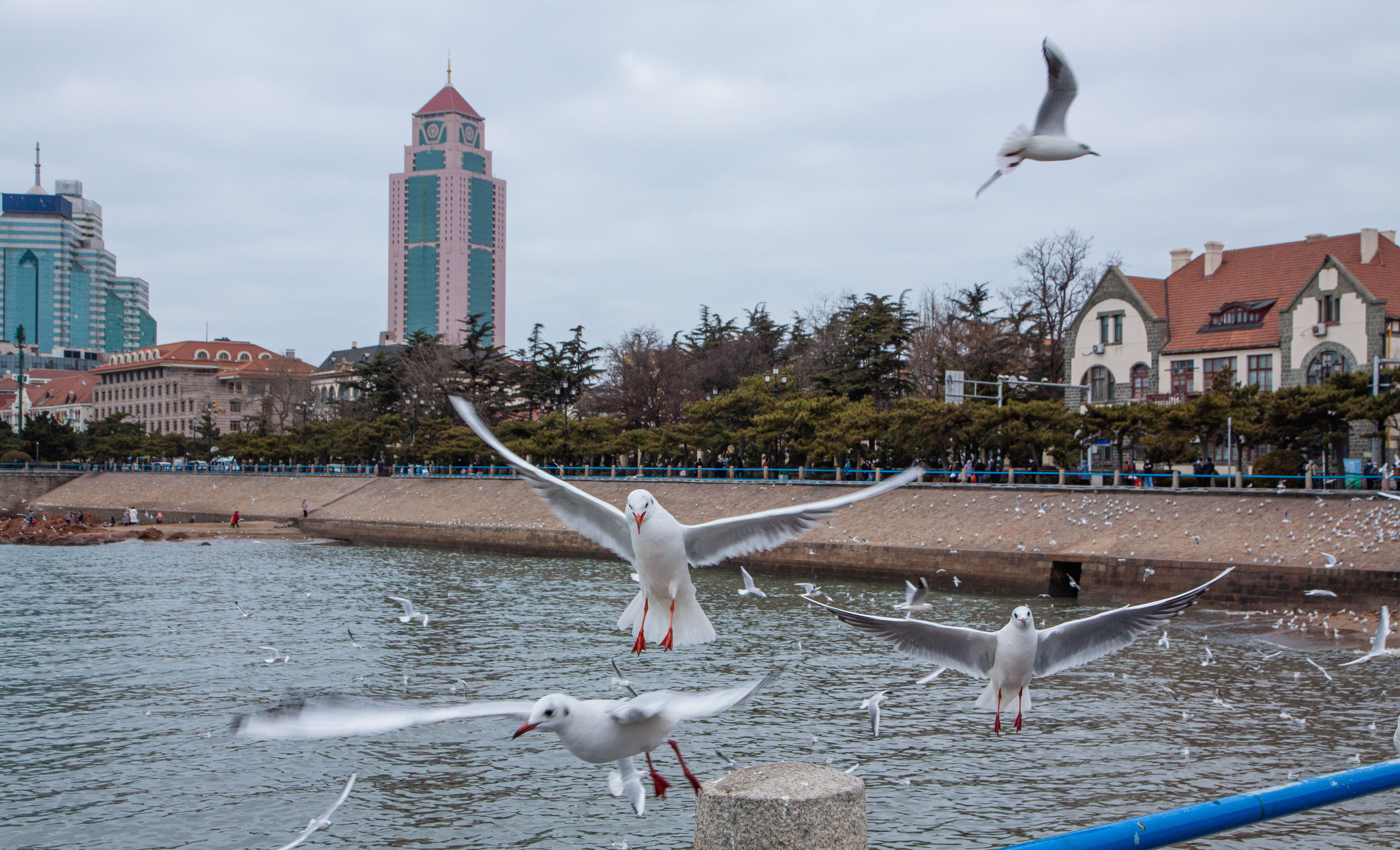 3_MG_0117.jpg