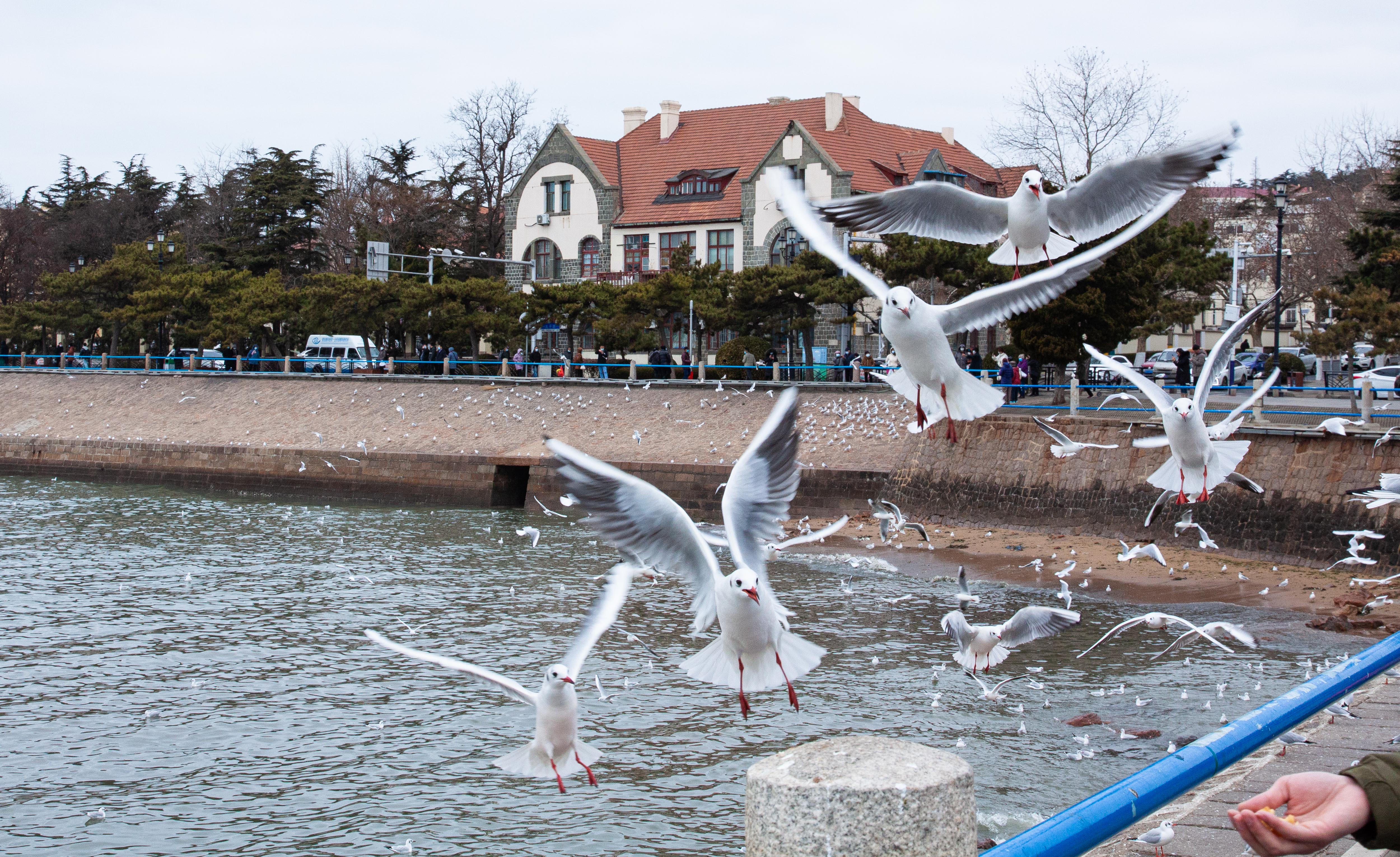 6_MG_0122.jpg