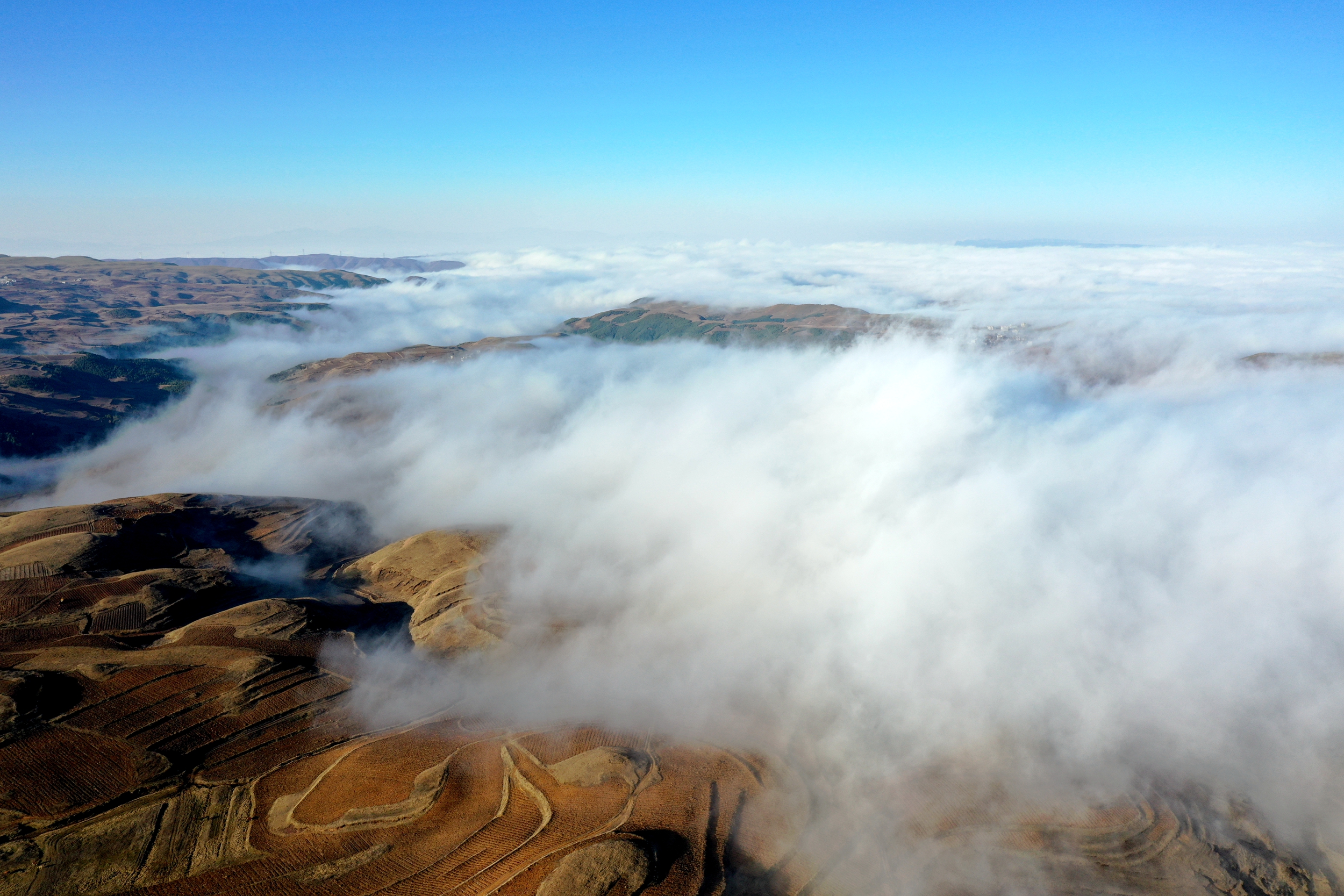 DJI_0294.JPG