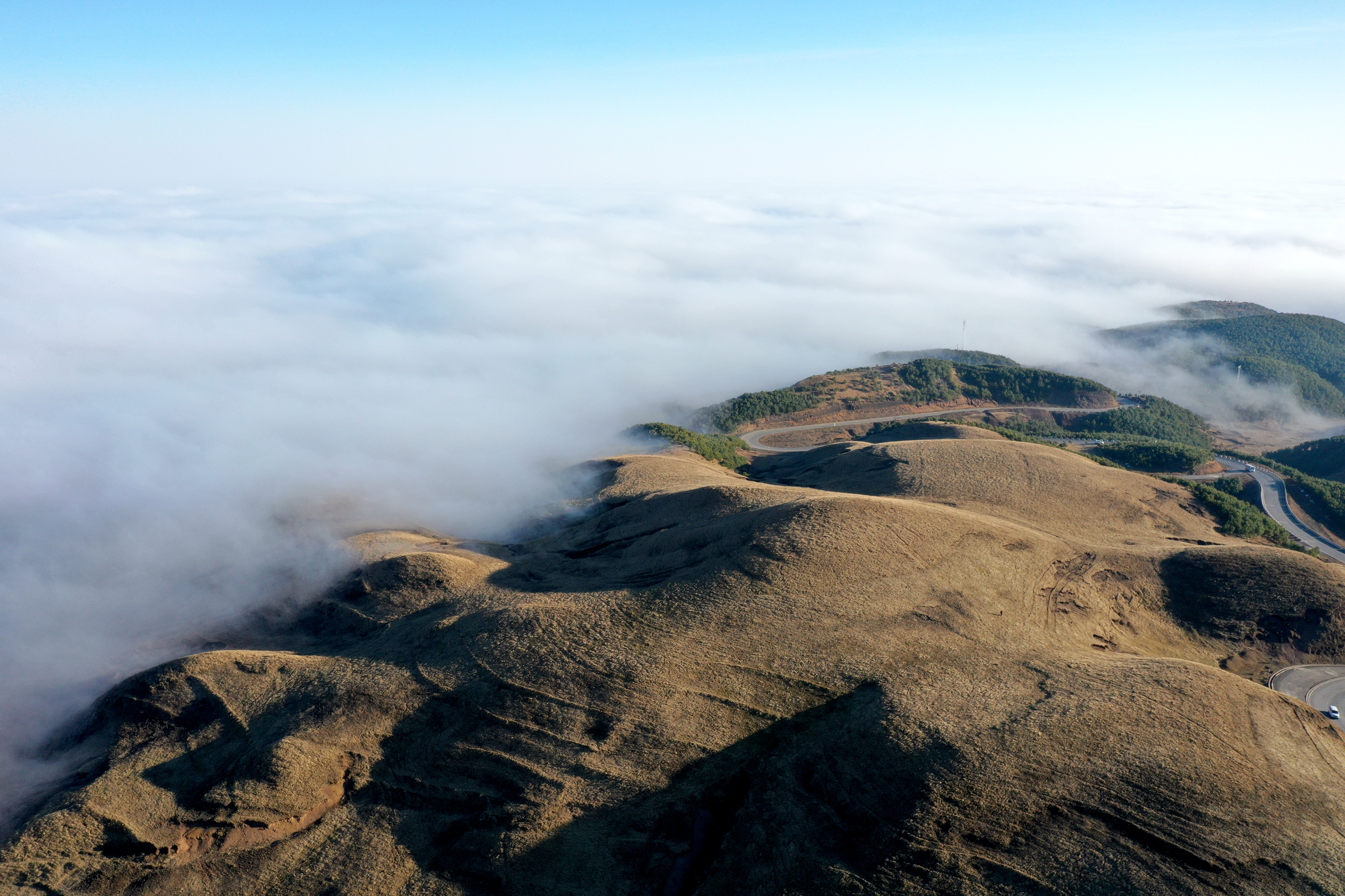 DJI_0301-01.jpeg