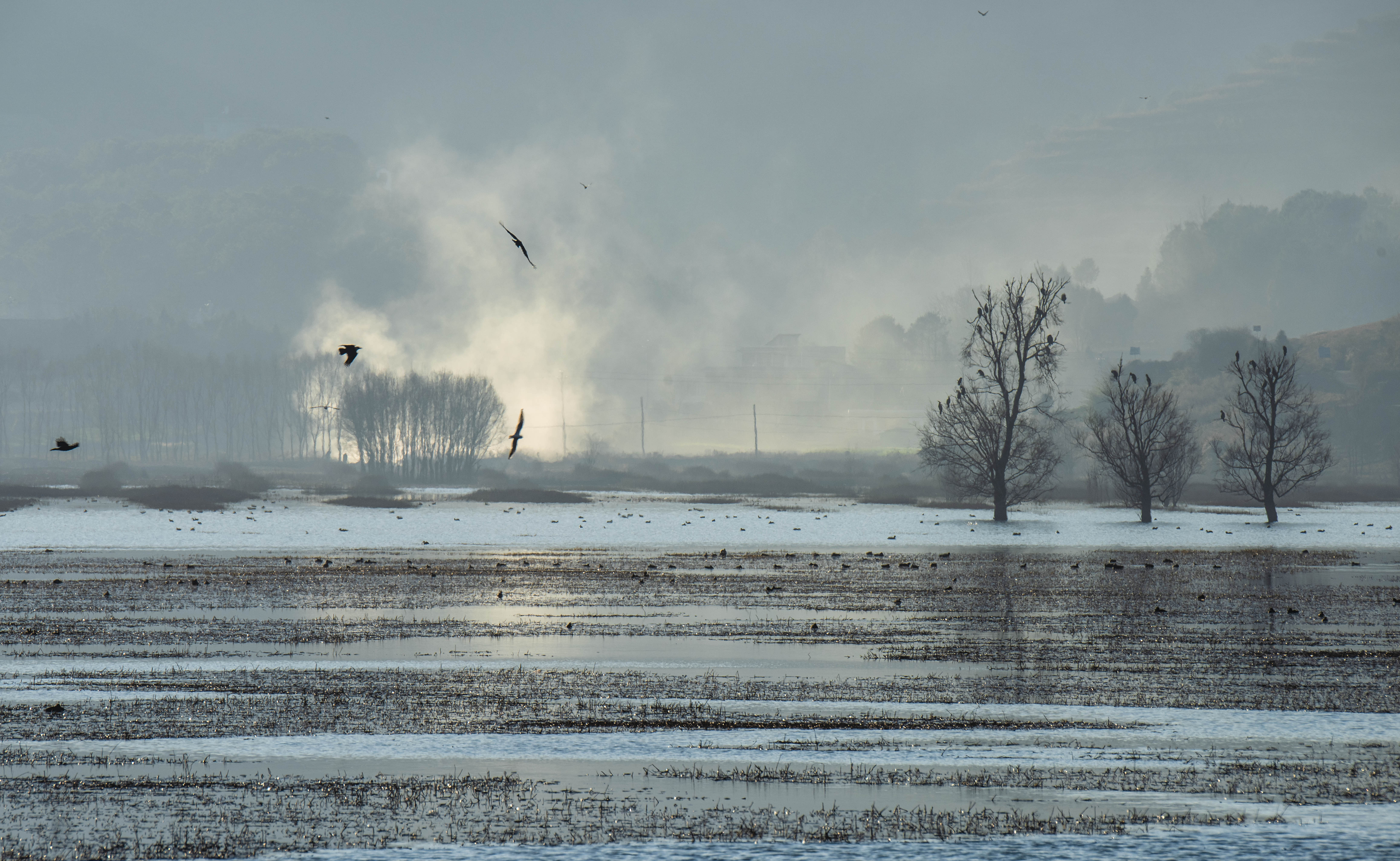11DSC_4751.jpg