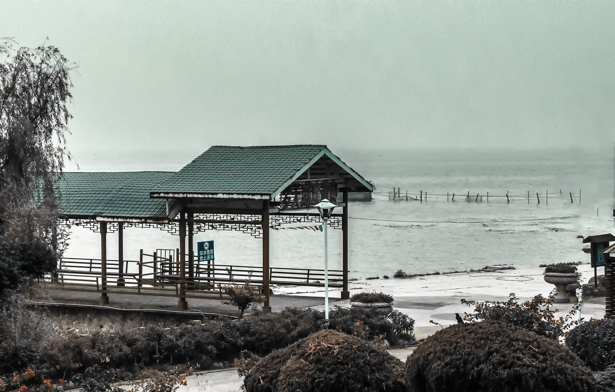 DSC_2150-2.jpg