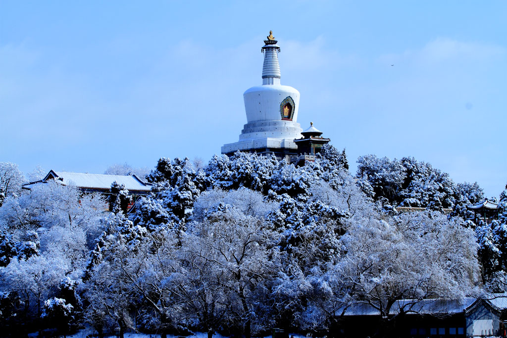 _MG_0914.JPG