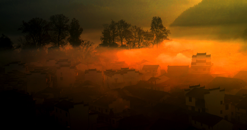DSC_7845.JPG