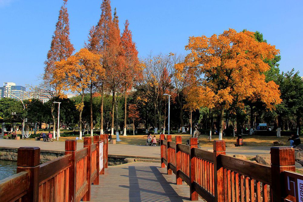 IMG_5632_副本_副本.jpg