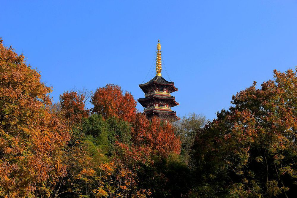 IMG_5643_副本_副本.jpg