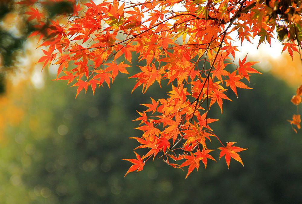 IMG_5679_副本_副本.jpg