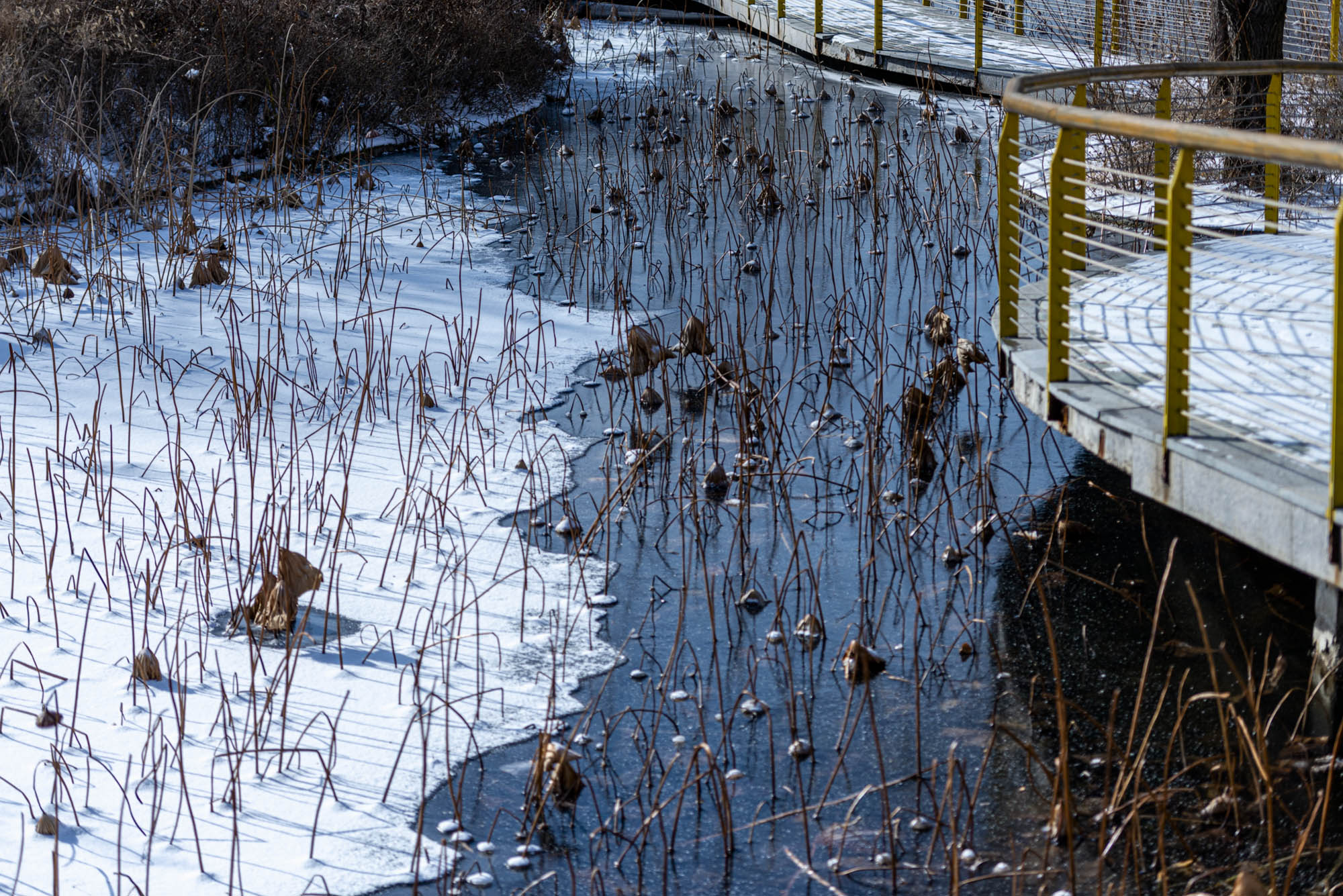 _DSC0920-1.jpg