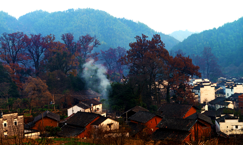 DSC_7596.JPG
