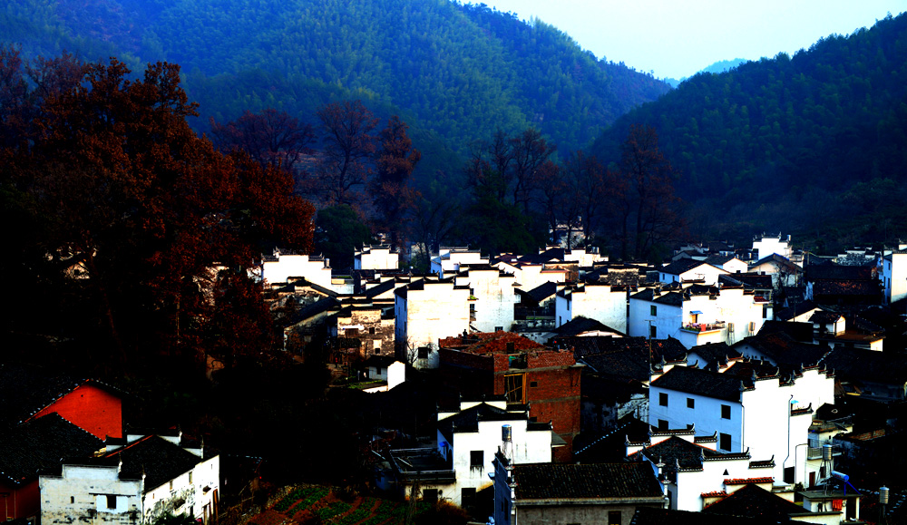 DSC_7553.JPG