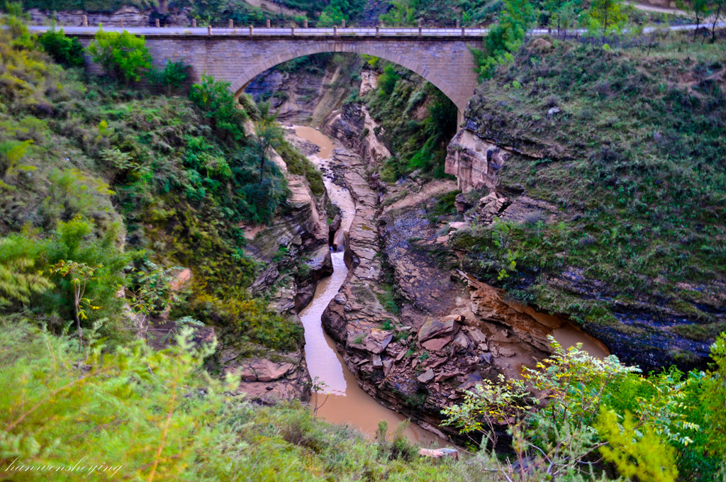 DSC_0859.JPG