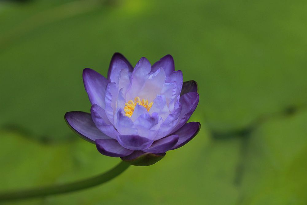 IMG_4757_副本_副本.jpg