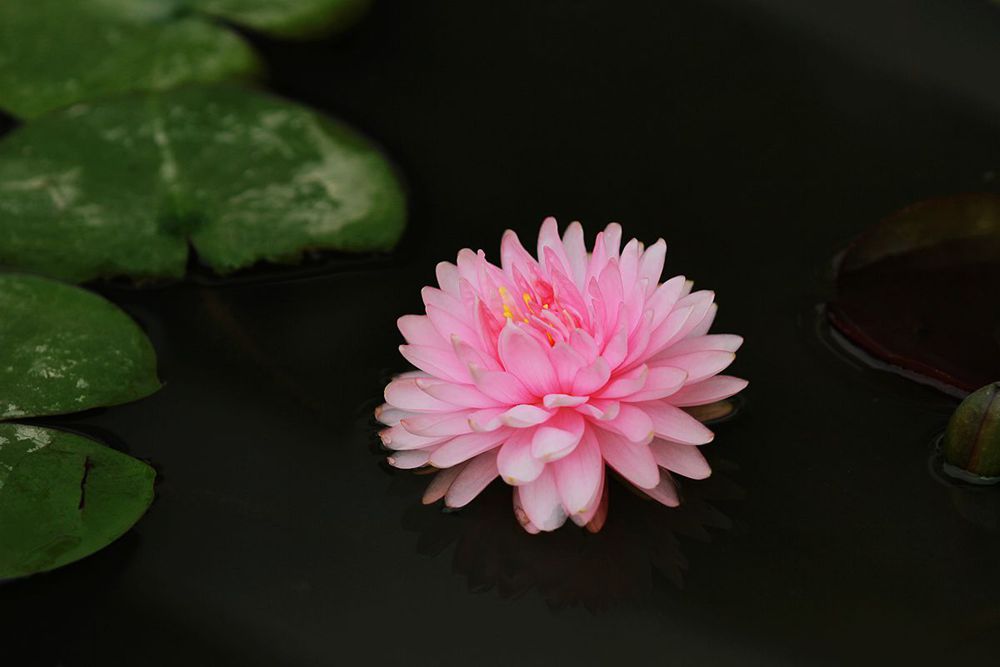 IMG_5059_副本_副本.jpg