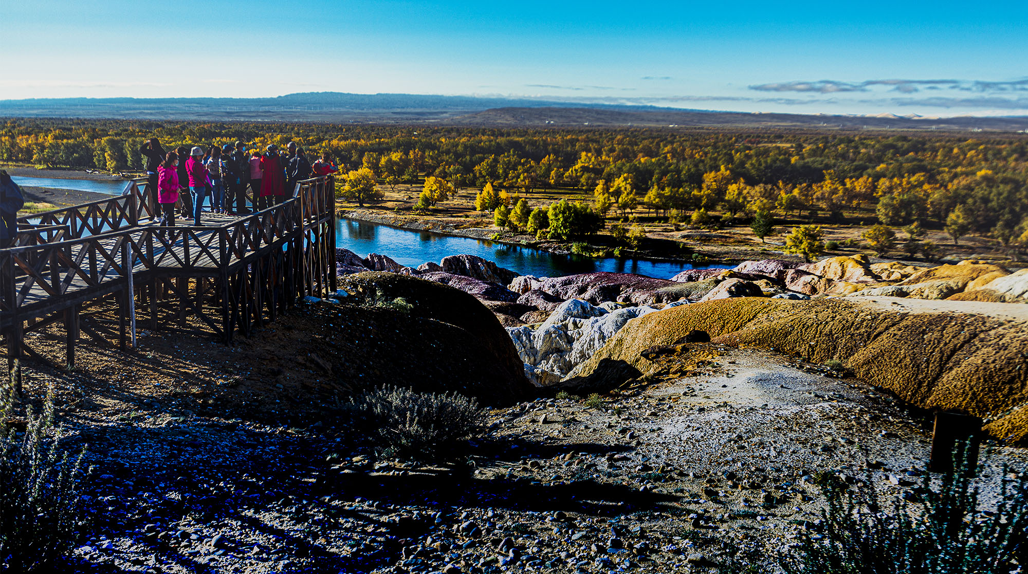 _DSC7936-1.jpg